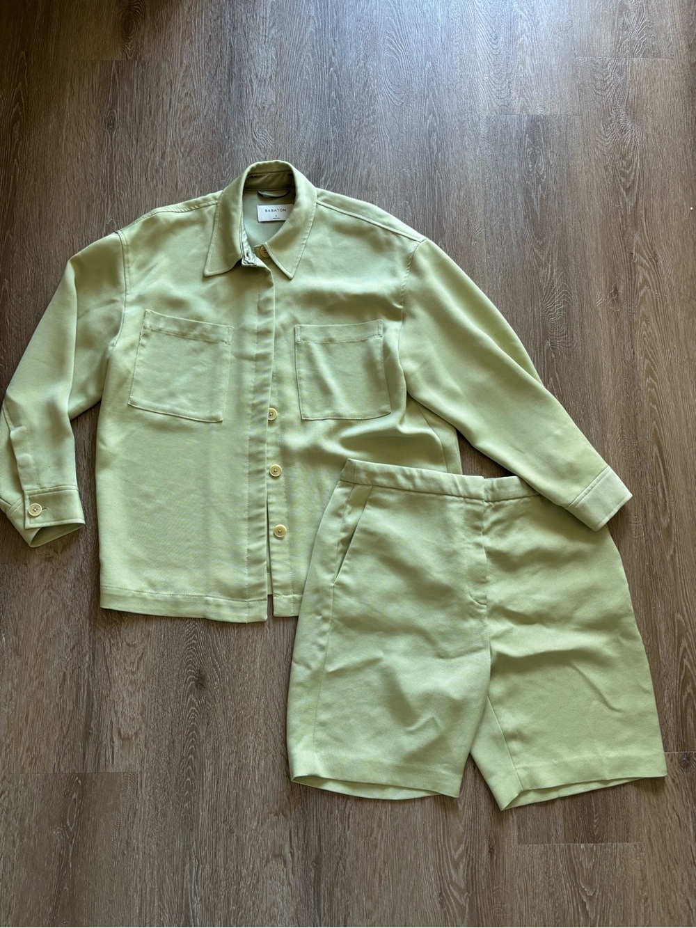 Aritzia Babaton Oversized Shirt and Shorts Set
